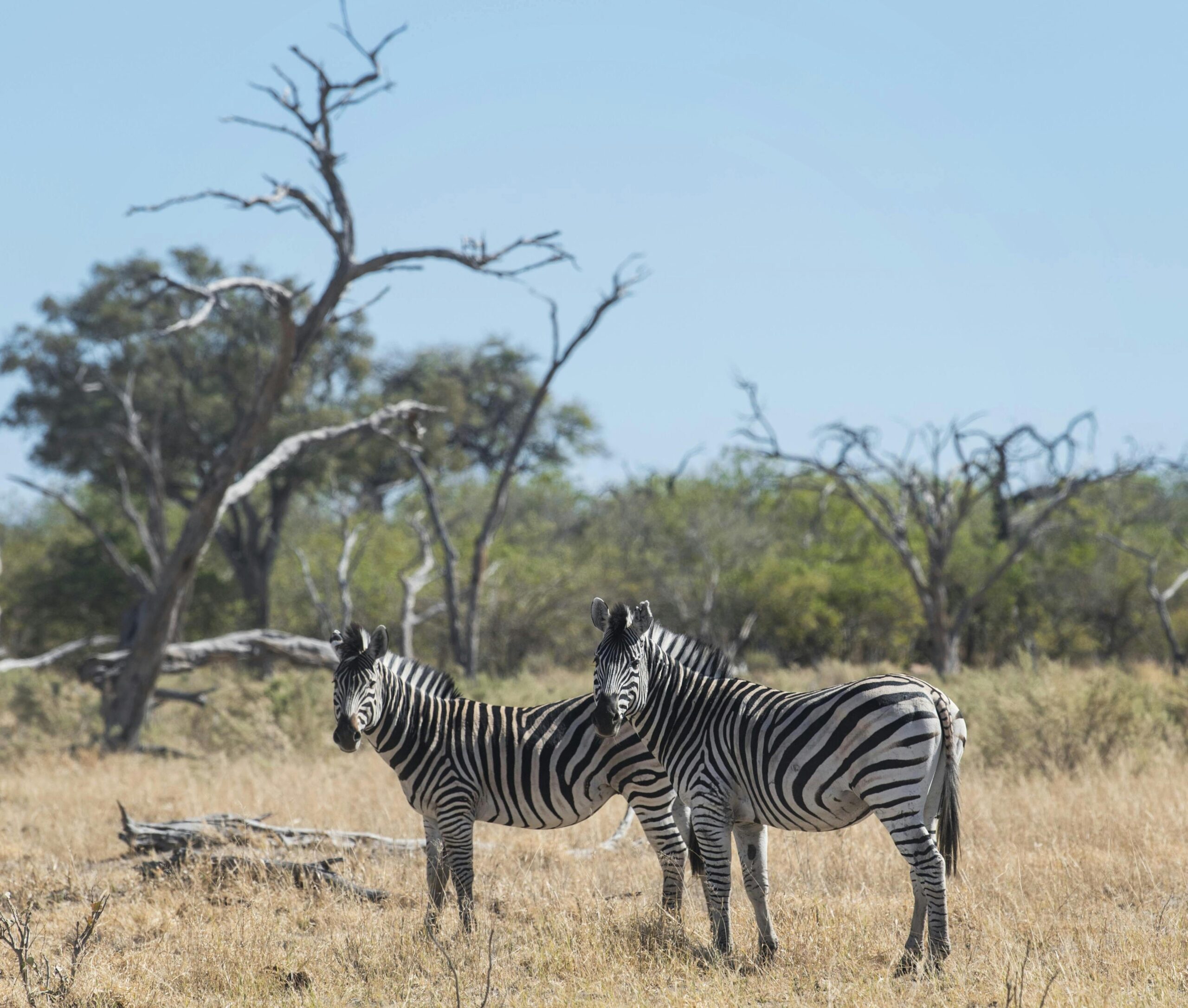 Botswana