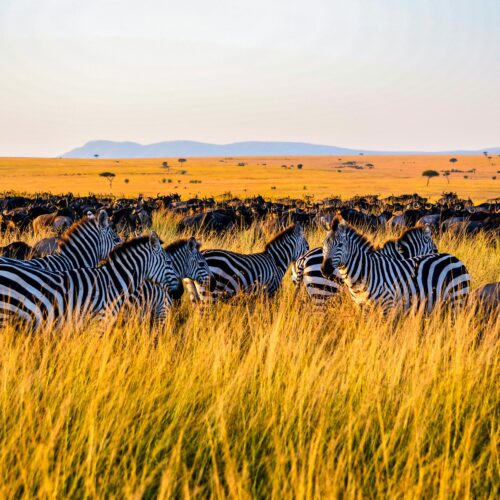 nairobi trip