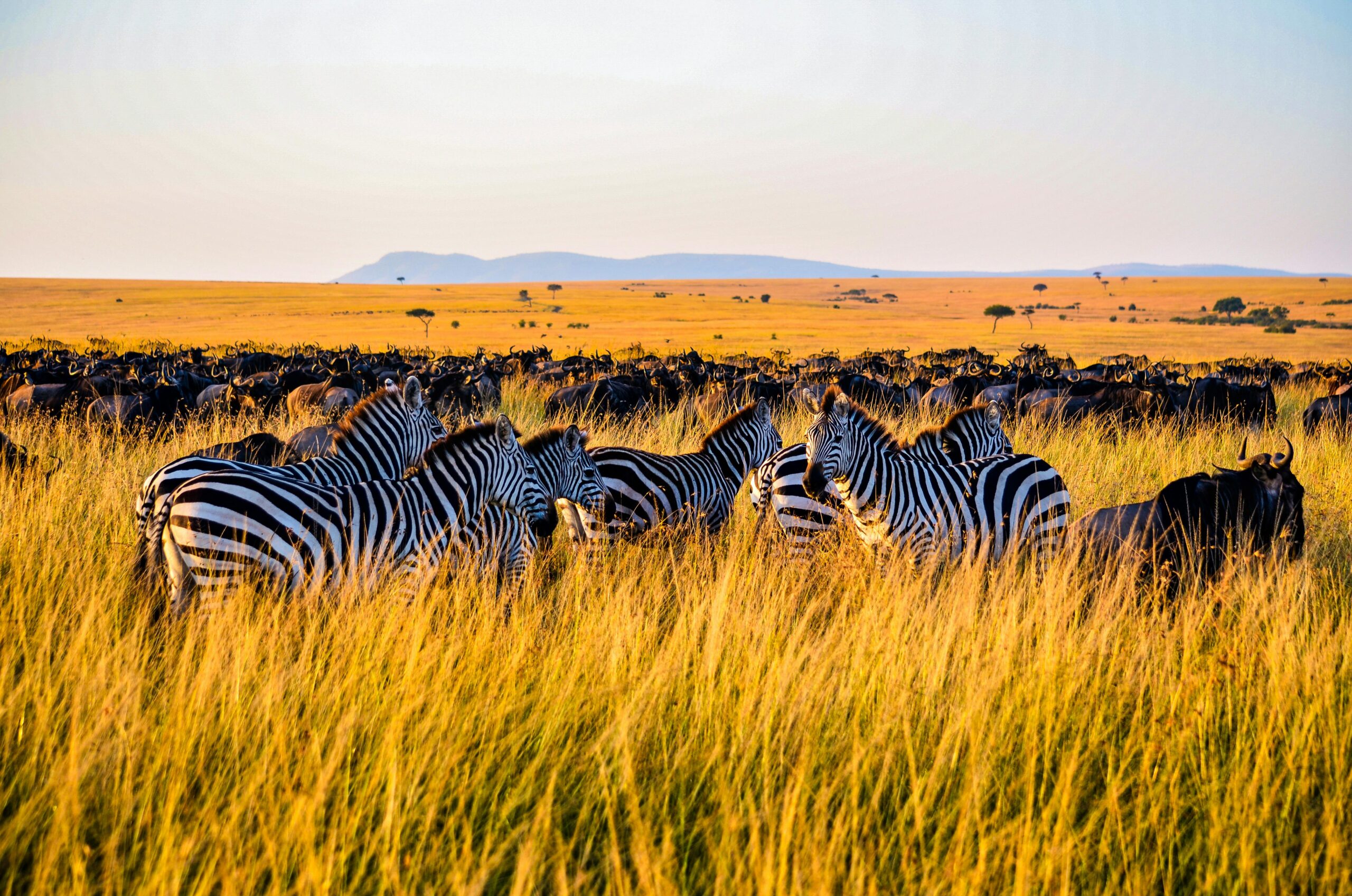 nairobi trip